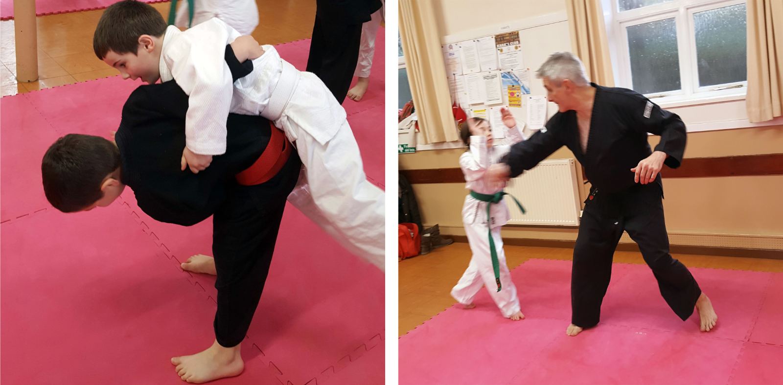 Jiu Jitsu Training